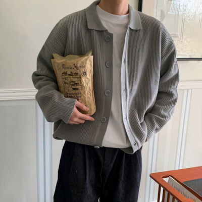 IEFB korejiešu stila vīriešu trikotāžas jaciņa mētelis vienkrāsains nolaižama apkakle Rudens džemperis Modes ikdienas tops ar vienrindu 9C2393