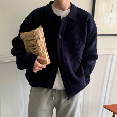 IEFB korejiešu stila vīriešu trikotāžas jaciņa mētelis vienkrāsains nolaižama apkakle Rudens džemperis Modes ikdienas tops ar vienrindu 9C2393