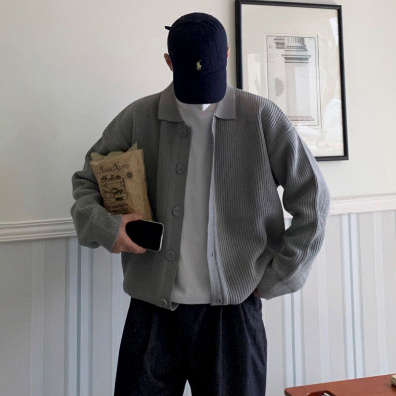 IEFB korejiešu stila vīriešu trikotāžas jaciņa mētelis vienkrāsains nolaižama apkakle Rudens džemperis Modes ikdienas tops ar vienrindu 9C2393