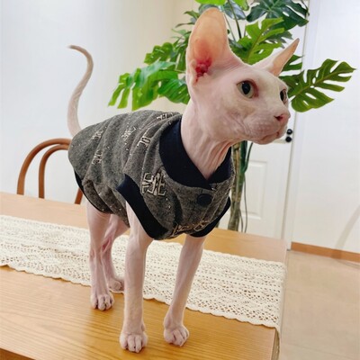 Sfinksa kaķa silta jaka ziemā bez kaila kaķa drēbes kokvilnas beisbola formas tērps Devon Rex karikatūras mētelis kaķēniem maziem suņiem