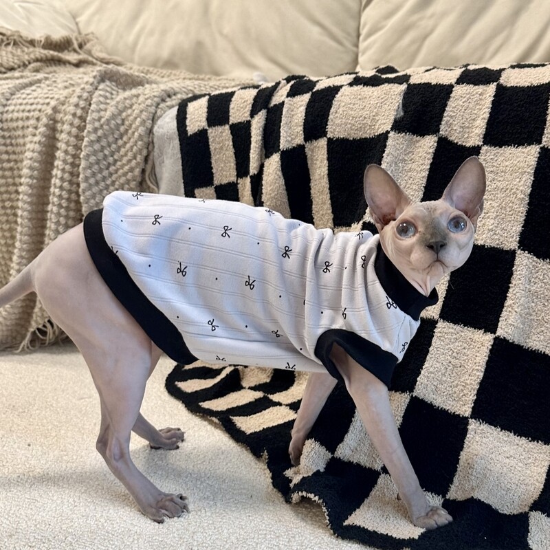 Apģērbs kaķim Īsām piedurknēm Kokvilnas mētelis Sfinksai Kaķim Vasaras pelēks Bow T-krekls kaķēniem Suņiem Mīksta, salda pidžama kaķim