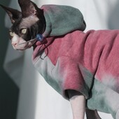 Kaķu ziemas apģērbu krāsošana purpursarkanā džemperis ar kapuci priekš Sfinksas Cat Mīksts modes mētelis kaķēniem Silti suņi Atpūtas apģērbs Kaķu lietas