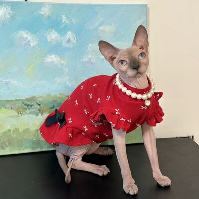 Salda kleita ar lidojošām piedurknēm priekš Sfinksas kaķa pavasara sarkana kokvilnas T-krekls ar banti kaķēniem ar īsām piedurknēm atpūtas apģērbs Devon Rex