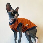 Îmbrăcăminte pentru pisici Hanorac fleece de primăvară pentru Sphynx Moda de iarnă Palton portocaliu fără mâneci pentru pisoi Cămașă moale groasă pentru pisică