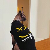 Sfinx de primăvară și de vară haine pentru pisici fără păr Literă frumoasă cu fața zâmbitoare imprimată de ultimă generație maiuu subțire Devon Konis fund de pisică