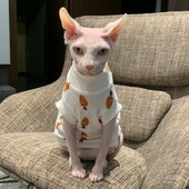 Beathable Thin T-Shirt for Sphynx Cat Summer soft βαμβακερό αμάνικο γιλέκο για γατάκια Cool loungewear for Devon Rex Cat Supplies