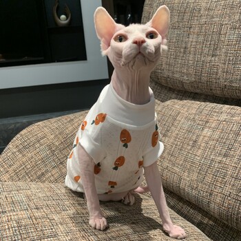 Beathable Thin T-Shirt for Sphynx Cat Summer soft βαμβακερό αμάνικο γιλέκο για γατάκια Cool loungewear for Devon Rex Cat Supplies