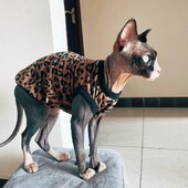 Puha gyapjú leopárd ing Sphynx Cat Khaki ujjatlan kabát kiscicák számára Divat tavaszi pulóver Devon Rex macskakellékekhez