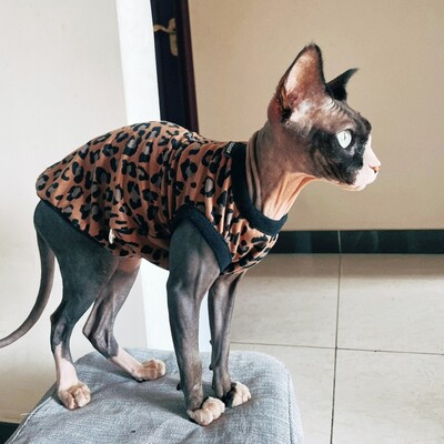 Puha gyapjú leopárd ing Sphynx Cat Khaki ujjatlan kabát kiscicák számára Divat tavaszi pulóver Devon Rex macskakellékekhez