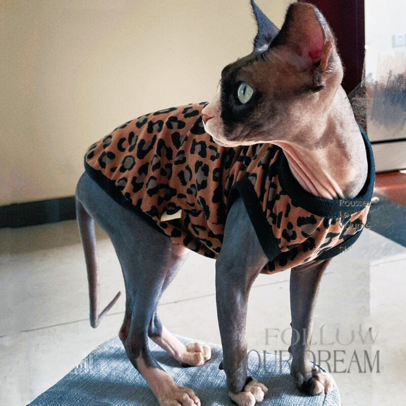 Puha gyapjú leopárd ing Sphynx Cat Khaki ujjatlan kabát kiscicák számára Divat tavaszi pulóver Devon Rex macskakellékekhez