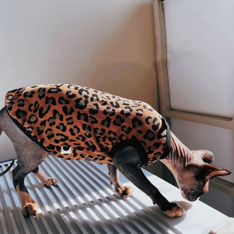 Puha gyapjú leopárd ing Sphynx Cat Khaki ujjatlan kabát kiscicák számára Divat tavaszi pulóver Devon Rex macskakellékekhez