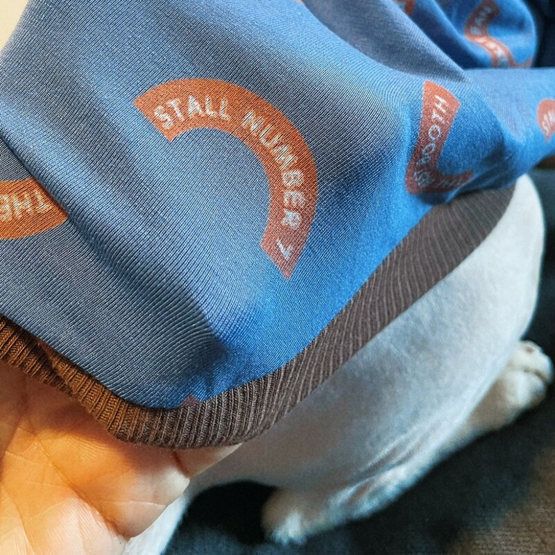 Kaķu apģērbs Pavasara kokvilnas džemperis Elestisks karikatūras mētelis Sfinksai Kaķu modes zilu burtu T-krekls kaķēniem vasarā