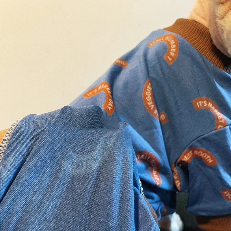 Kaķu apģērbs Pavasara kokvilnas džemperis Elestisks karikatūras mētelis Sfinksai Kaķu modes zilu burtu T-krekls kaķēniem vasarā