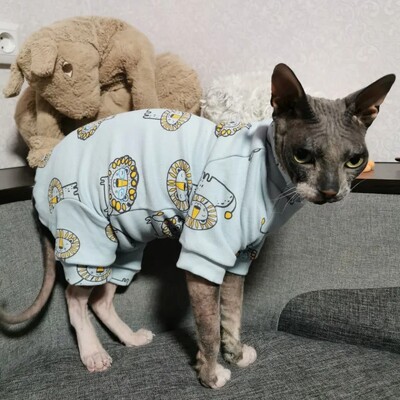 Памучно палто за котка сфинкс през пролет есен зима Мек анимационен гащеризон Суичър със син лъв за котенца Пижама за Девън Рекс