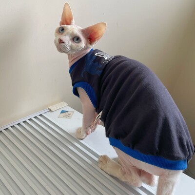 Karikatūras kokvilnas dinozauru T-krekls sfinksai kaķim pavasara vasara mīksta zila bezpiedurkņu veste vīriešu kaķa elestisks kombinezons kaķēniem