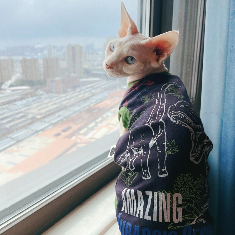 Karikatūras kokvilnas dinozauru T-krekls sfinksai kaķim pavasara vasara mīksta zila bezpiedurkņu veste vīriešu kaķa elestisks kombinezons kaķēniem