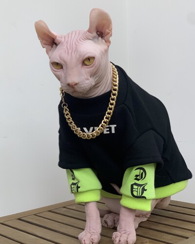 Hanorac de modă din bumbac pentru îmbrăcăminte pentru pisici Sphynx, haină groasă de iarnă cu mâneci lungi, pentru Devon Rex, haine moi pentru pisici