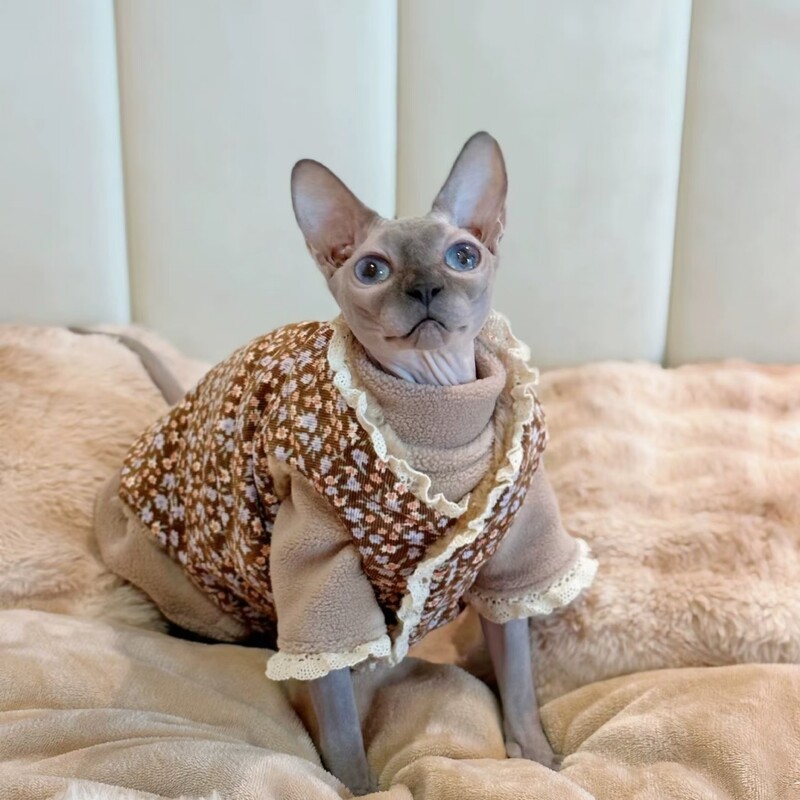 Haki krāsas flīsa mētelis kaķim Ziemas silts Mežģīņu ziedu džemperis ar garām piedurknēm Sfinksa kaķim Salds mīksts apakšmētelis kaķēniem suņiem