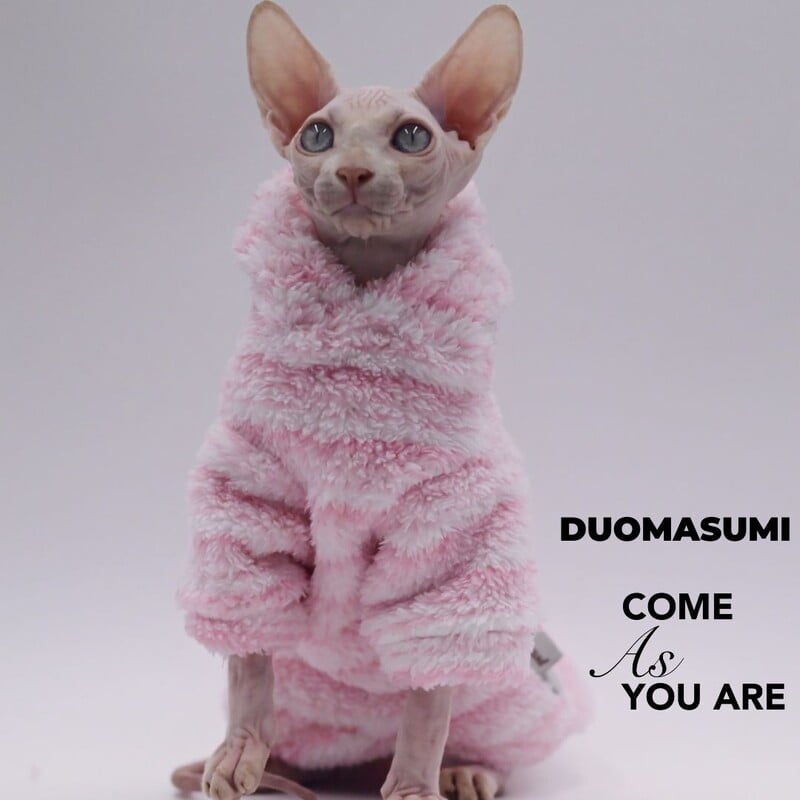 Ρούχα γάτας για Sphynx Γάτα Χειμερινό κατοικίδιο γατάκι παλτό μπουφάν για μικρούς μεσαίους σκύλους Γάτες Ζεστή στολή Chihuahua Yorkshire