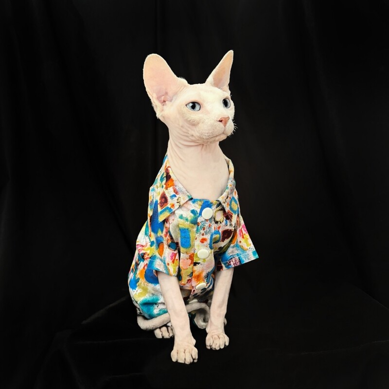 Irodalmi stílusú ing Sfinx macskának Nyári Puha pamutblúz Hosszú ujjú Kabát cicáknak Kutyáknak Túlméretes színes nappaliruha