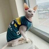 Karikatūras kokvilnas kravas auto T-krekls Sfinksa kaķim Pavasaris Vasaras Mīksta Zaļa Auto Veste Bez Piedurknēm Vīriešu Kaķim Elestisks mētelis kaķēniem