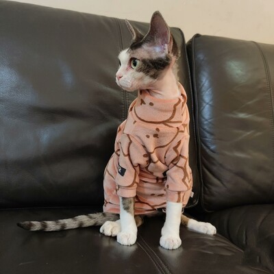 Sfinksa kaķu karikatūra lāča vilnas mētelis ziemas rudens silts abpusējs samts Devon Rex garām piedurknēm Biezs džemperis kaķiem