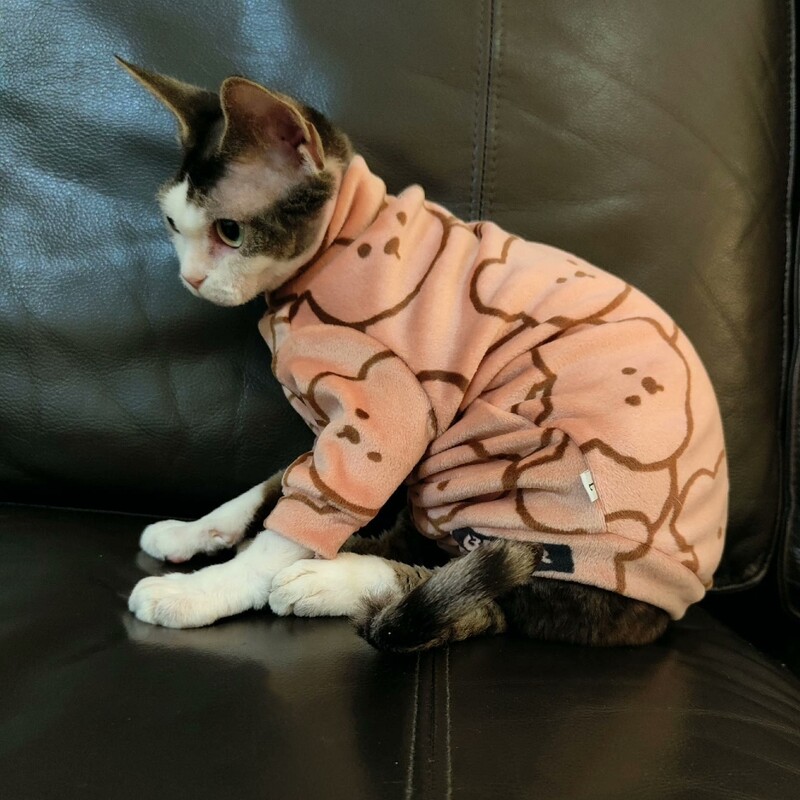 Sfinksa kaķu karikatūra lāča vilnas mētelis ziemas rudens silts abpusējs samts Devon Rex garām piedurknēm Biezs džemperis kaķiem