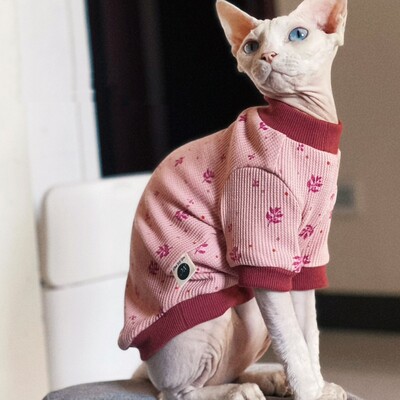 Kaķu apģērbs Pavasara kokvilnas krekls priekš Sphiynx Sieviešu kaķu mētelis ar garām piedurknēm kaķēniem Vasaras maigi rozā džemperis Devon Rex