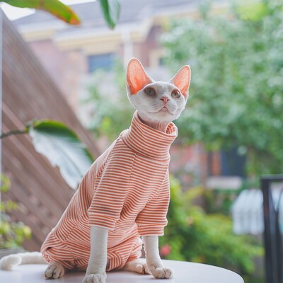 sphnyx Cat Clothes Dryžuoti apatiniai marškinėliai ilgomis rankovėmis naminiams gyvūnėliams Minkštas medvilninis paltas kačiukams šunims Keturių kojų kombinezonas Devon Rex