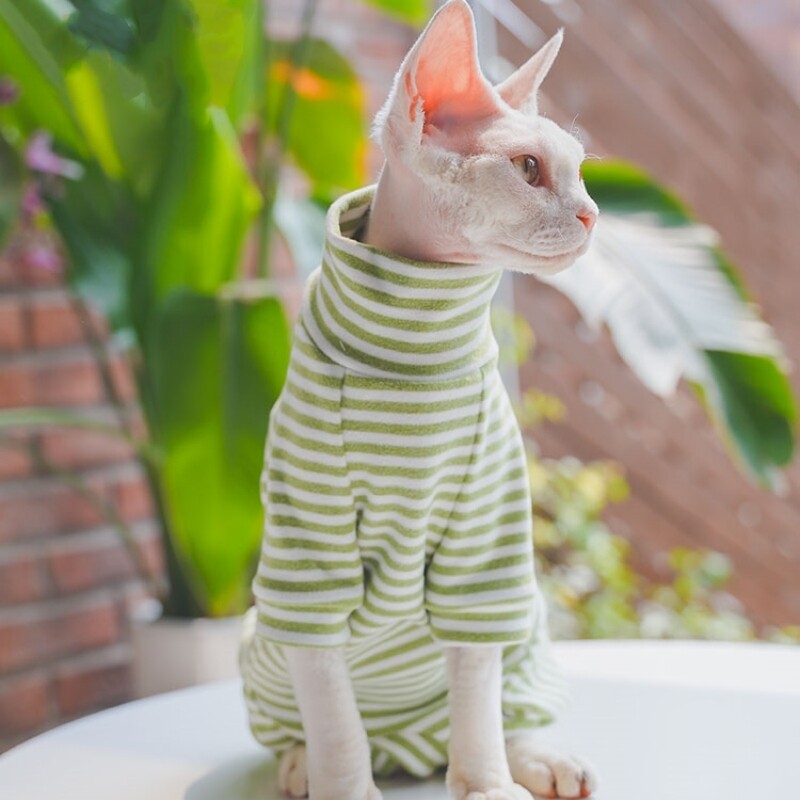 sphnyx Cat Clothes Svītrains apakškrekls Garas piedurknes mājdzīvniekam Mīksts kokvilnas mētelis kaķēniem Suņiem 4 kāju kombinezons Devon Rex