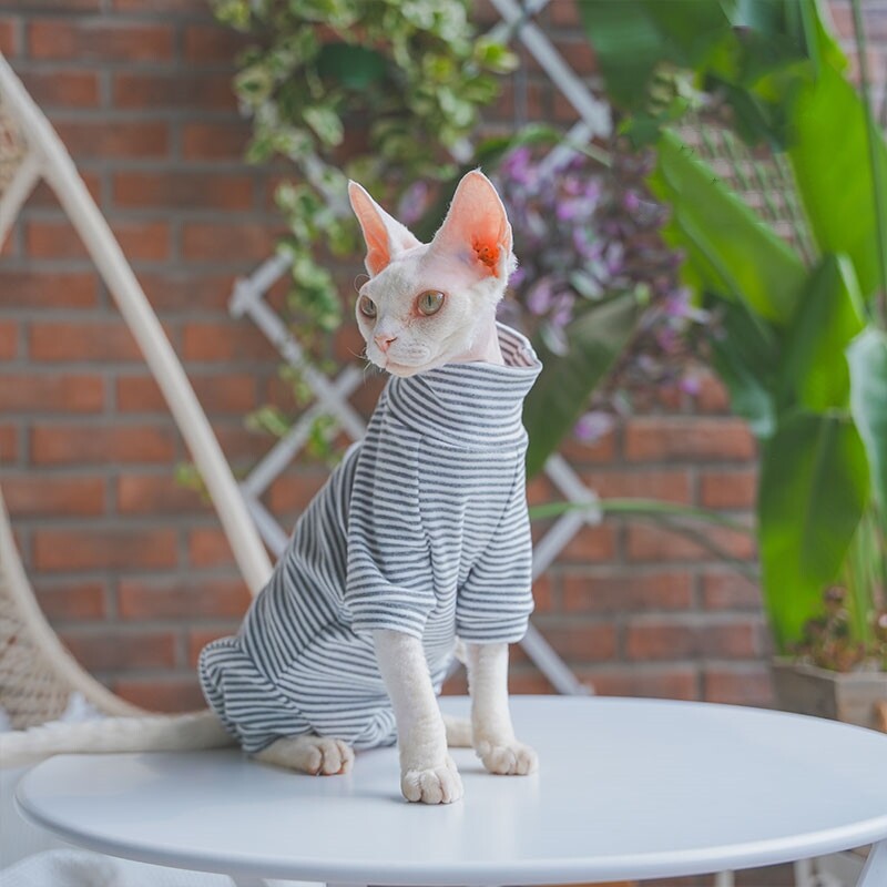 sphnyx Cat Clothes Svītrains apakškrekls Garas piedurknes mājdzīvniekam Mīksts kokvilnas mētelis kaķēniem Suņiem 4 kāju kombinezons Devon Rex