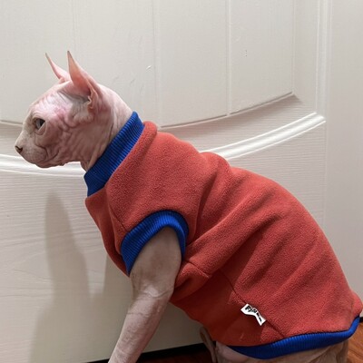 Téli jelmez macska bársony rövid ujjú pulóver Sfinx macska meleg kabát cicáknak kutyáknak Puha vastag kabát Devon Rex számára