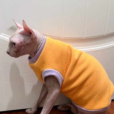 Téli jelmez macska bársony rövid ujjú pulóver Sfinx macska meleg kabát cicáknak kutyáknak Puha vastag kabát Devon Rex számára