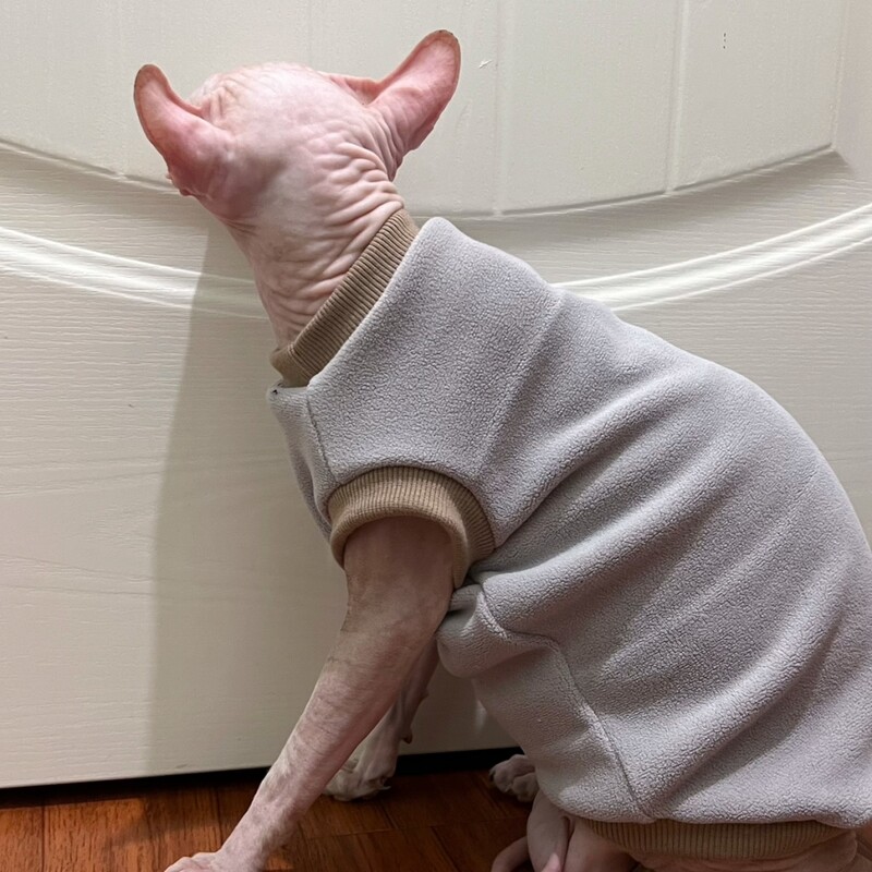 Téli jelmez macska bársony rövid ujjú pulóver Sfinx macska meleg kabát cicáknak kutyáknak Puha vastag kabát Devon Rex számára