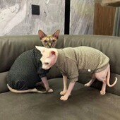 Pamučna majica dugih rukava za mačke u proljeće zima Meka poddlaka za mačke sfinks mačka Topli kombinezon od flisa na pruge za mačiće