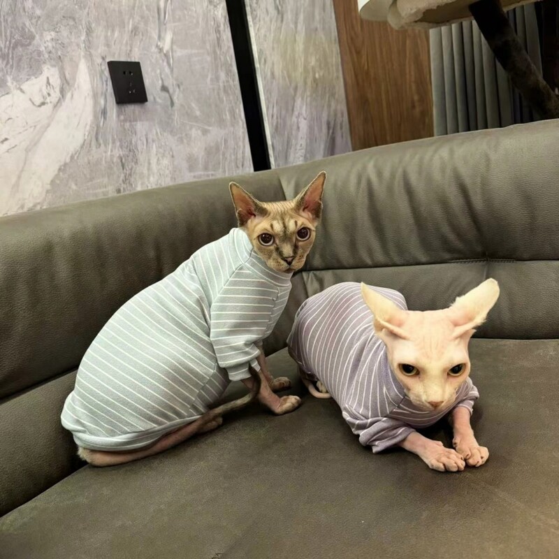 Pamučna majica dugih rukava za mačke u proljeće zima Meka poddlaka za mačke sfinks mačka Topli kombinezon od flisa na pruge za mačiće