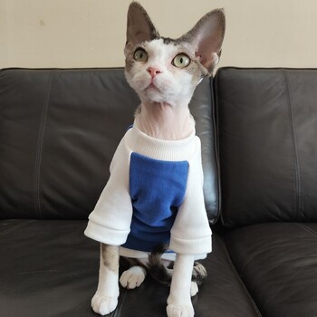 Sphynx Cat Clothes Πουλόβερ για γατάκια σκυλιά Χειμερινό φθινοπωρινό βαμβακερό παλτό για Devon Rex μακρυμάνικο μπλουζάκι φούτερ για γάτα