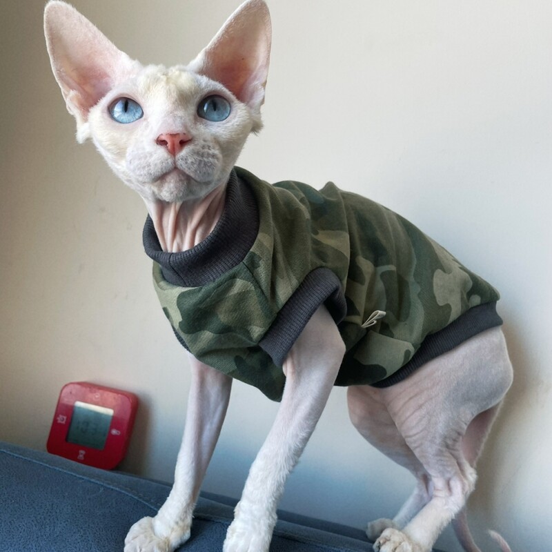 Apģērbs kaķiem Kokvilnas veste Īsas piedurknes priekš Sfinksa T-krekls Devon Rex Zaļš kamuflāžas mētelis kaķēniem vasaras pavasarī