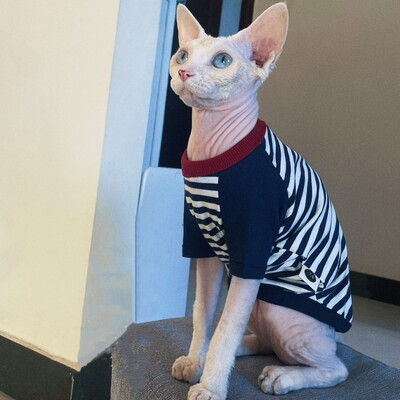 Svītrains kokvilnas krekls priekš Sphiynx Cat pavasara mētelis ar garām piedurknēm kaķēniem maziem suņiem Vasaras mīksts zils džemperis Devon Rex