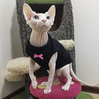 Rochie de pisică Sphynx cu papion în haine de vară fără păr pentru pisici Fusta neagră dulce din bumbac moale pentru cămașă Devon Rex pentru pisoi