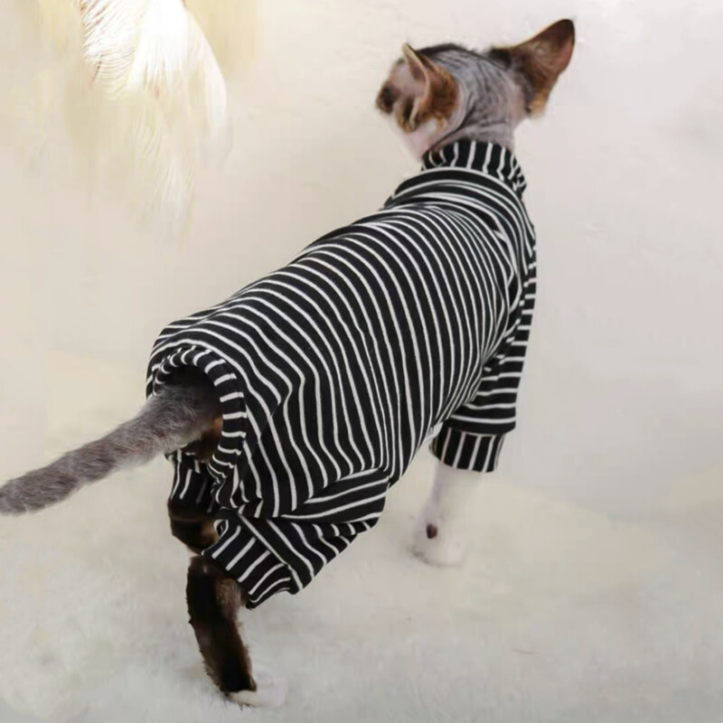 Sfinksa kaķu džemperis Sfinksa kaķi svītraini kapuces Silts kostīms DevonRex krekls bruņurupuču apakšjaka virsdrēbēm ziemas pavasaris rudens