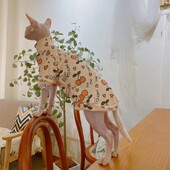 Kokvilnas mētelis sfinksai kaķim Mīksts bruņurupuča karikatūras džemperis kaķēniem Biezs T-krekls, elastīgs Devon Reksam pavasara rudenī