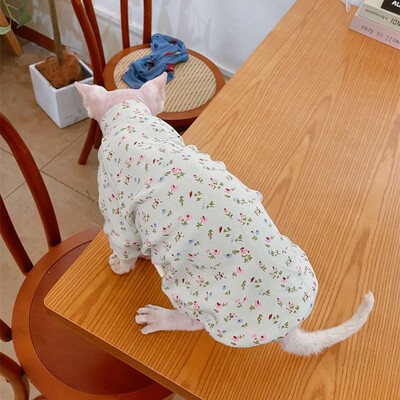 Kokvilnas mētelis sfinksai kaķim Mīksts bruņurupuča karikatūras džemperis kaķēniem Biezs T-krekls, elastīgs Devon Reksam pavasara rudenī