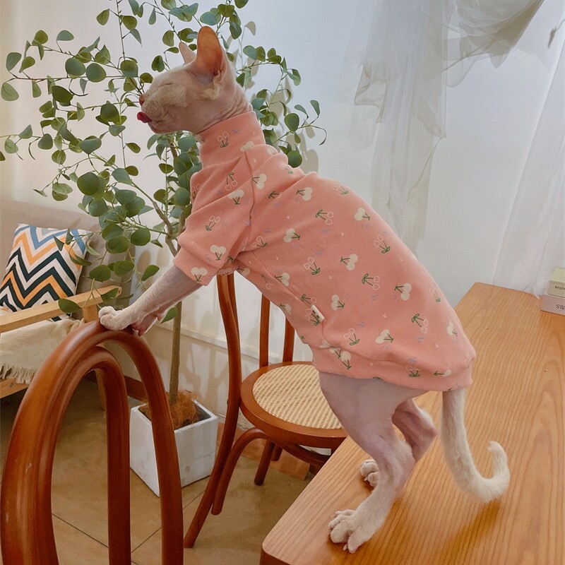 Kokvilnas mētelis sfinksai kaķim Mīksts bruņurupuča karikatūras džemperis kaķēniem Biezs T-krekls, elastīgs Devon Reksam pavasara rudenī