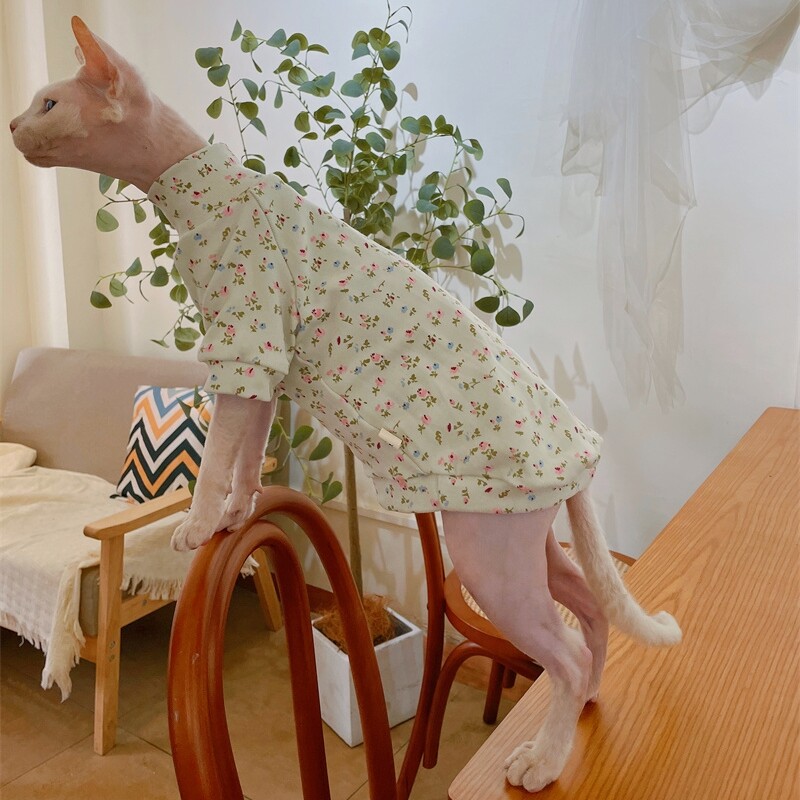 Kokvilnas mētelis sfinksai kaķim Mīksts bruņurupuča karikatūras džemperis kaķēniem Biezs T-krekls, elastīgs Devon Reksam pavasara rudenī