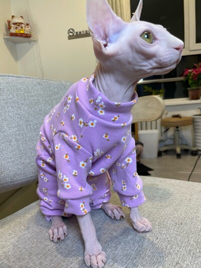 Salopetă violet din bumbac floral pentru pisică fără păr haină caldă de iarnă pentru pisica Sphynx Hanorac moale de primăvară pentru pisici Costume de pisică