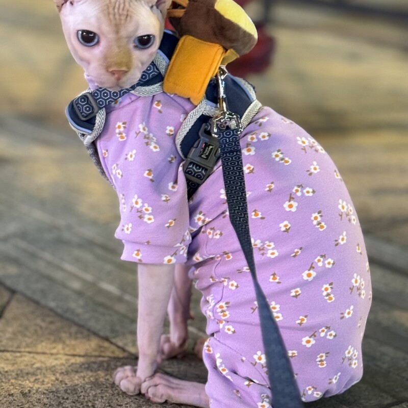 Salopetă violet din bumbac floral pentru pisică fără păr haină caldă de iarnă pentru pisica Sphynx Hanorac moale de primăvară pentru pisici Costume de pisică