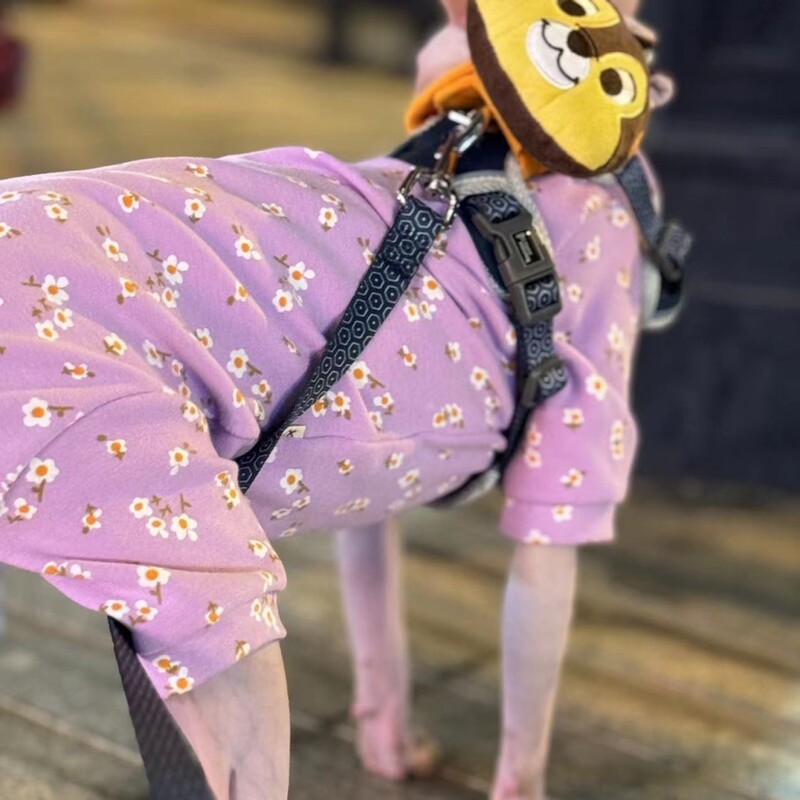 Salopetă violet din bumbac floral pentru pisică fără păr haină caldă de iarnă pentru pisica Sphynx Hanorac moale de primăvară pentru pisici Costume de pisică