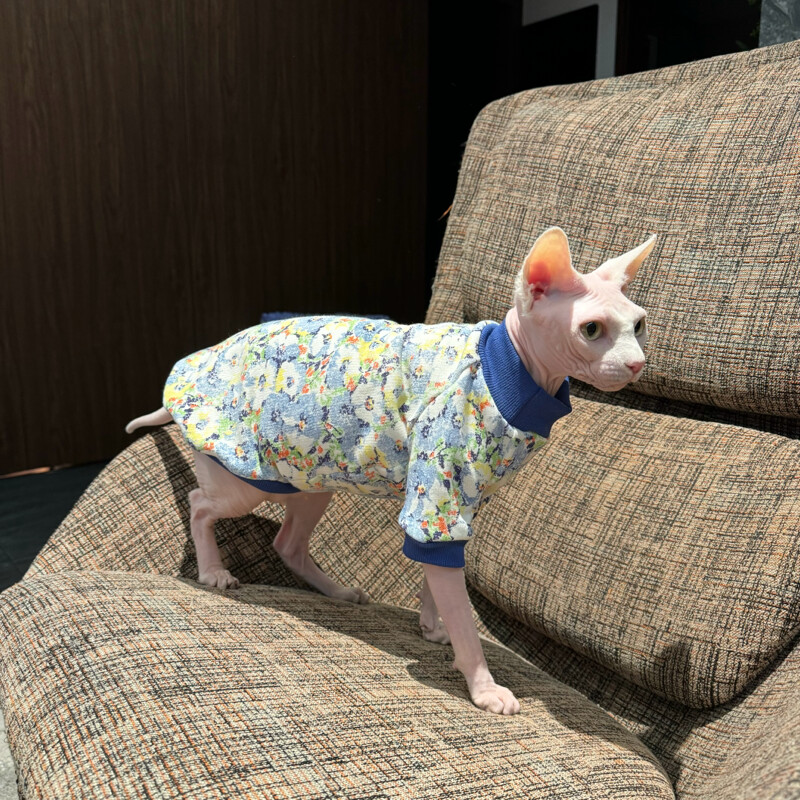 Meleg polár pulóver Sfinx macskaruhákhoz Téli puha virágos kabát cicáknak Vastag pulóver Devon Rex kan macska kellékekhez