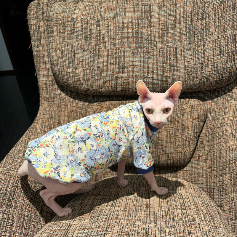 Meleg polár pulóver Sfinx macskaruhákhoz Téli puha virágos kabát cicáknak Vastag pulóver Devon Rex kan macska kellékekhez